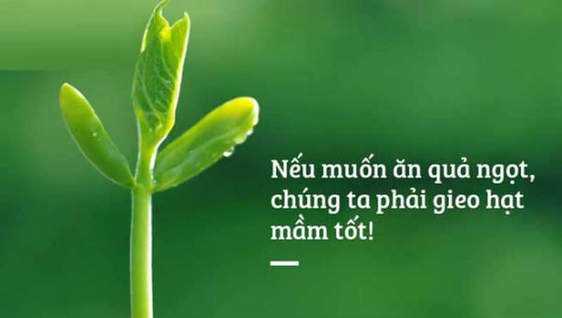 ĐỨC NĂNG THẮNG SỐ - Bài kiến giải 04