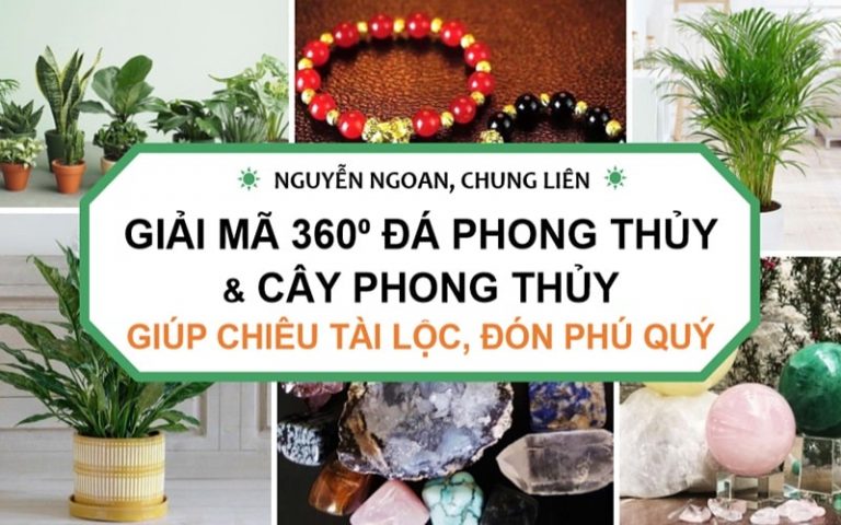 Sách Phong thủy Nguyễn Ngoan Tặng Miễn Phí có gì đặc biệt?