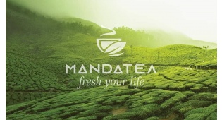 TƯ VẤN THƯƠNG HIỆU MANDA TEA