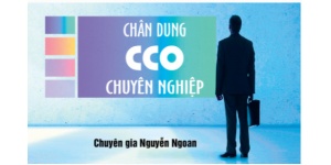 Chân Dung CCO Chuyên Nghiệp